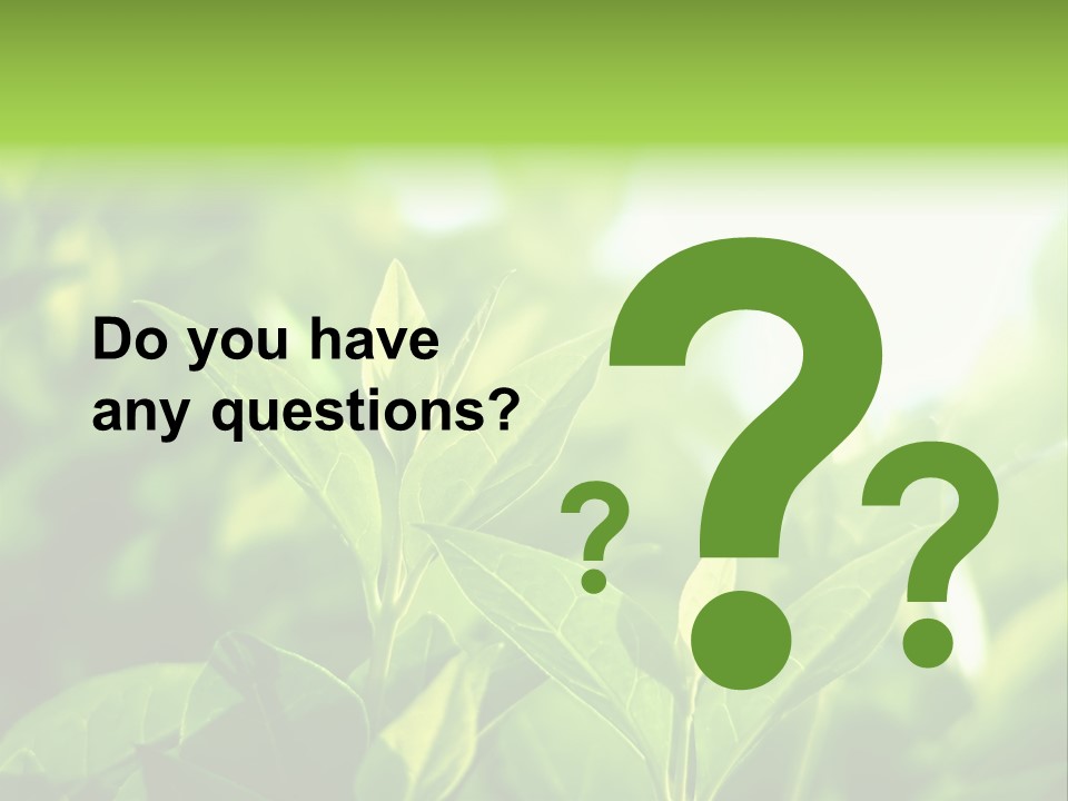 A Green Leafy Plant Is Shown In This Powerpoint Presentation PowerPoint Template
