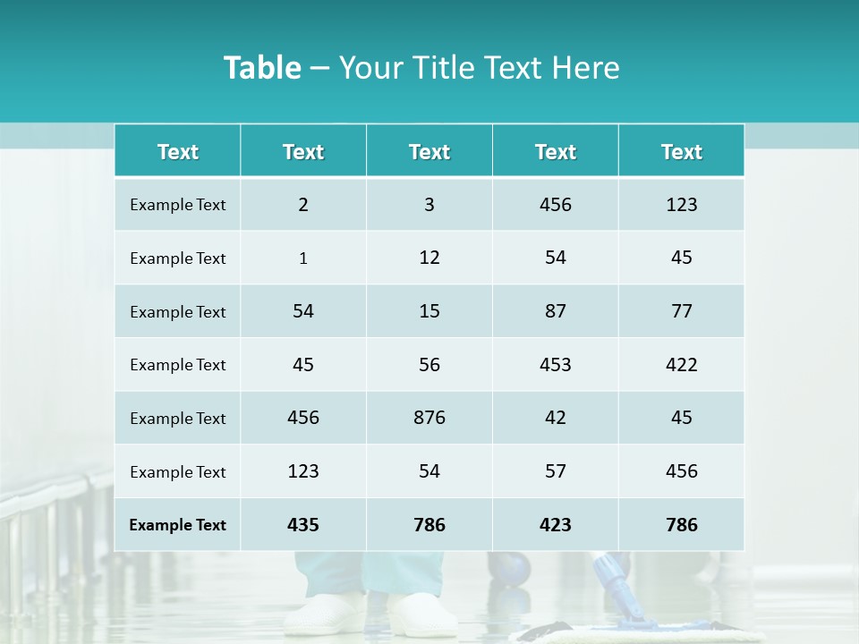 Lady Cleaner Clinic PowerPoint Template