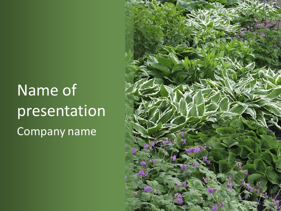 A Bunch Of Plants That Are Next To Each Other PowerPoint Template