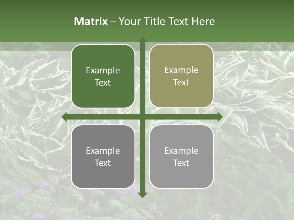 A Bunch Of Plants That Are Next To Each Other PowerPoint Template