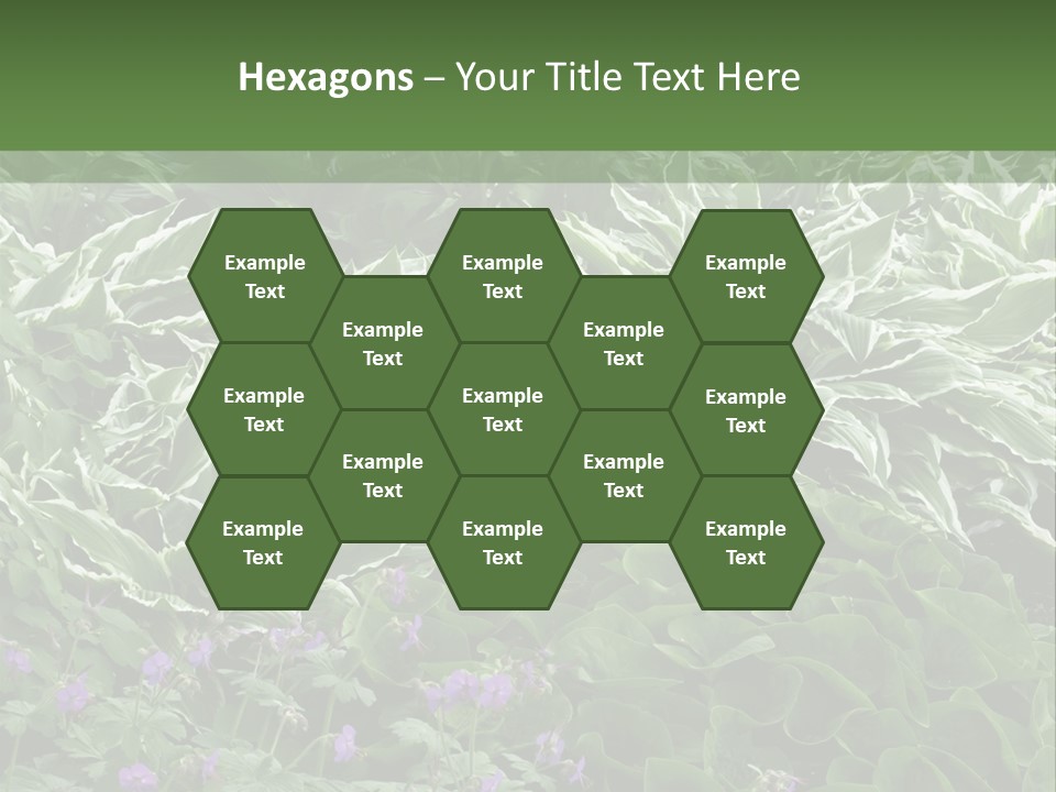 A Bunch Of Plants That Are Next To Each Other PowerPoint Template
