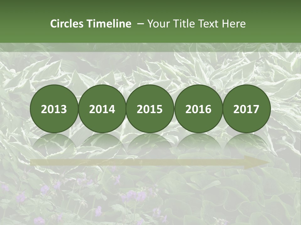 A Bunch Of Plants That Are Next To Each Other PowerPoint Template