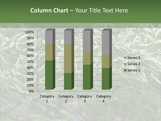 A Bunch Of Plants That Are Next To Each Other PowerPoint Template