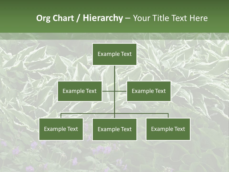 A Bunch Of Plants That Are Next To Each Other PowerPoint Template
