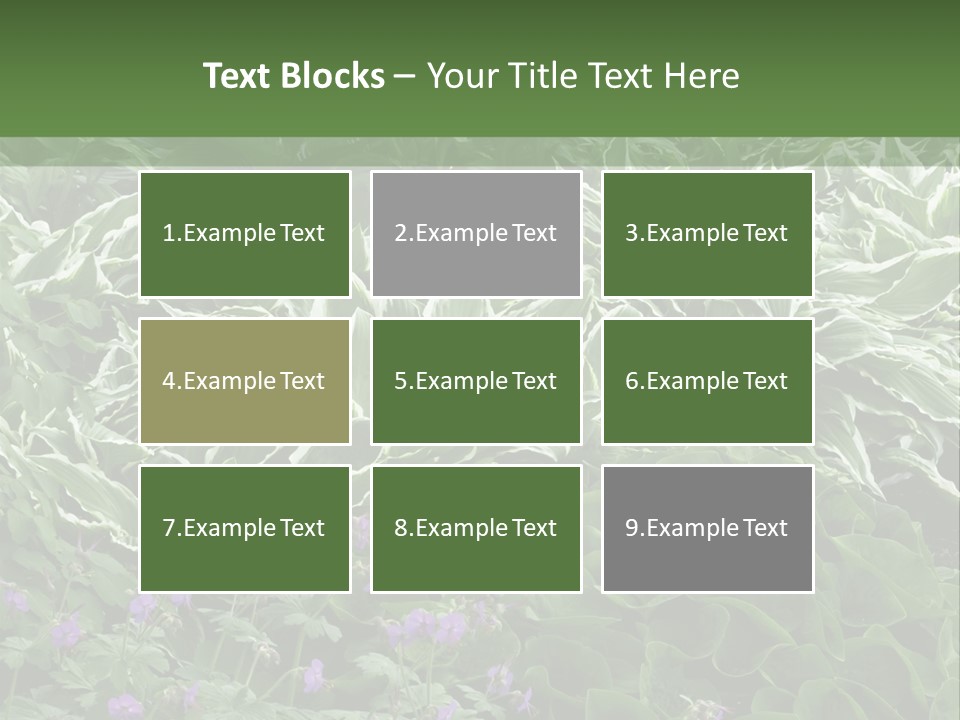 A Bunch Of Plants That Are Next To Each Other PowerPoint Template