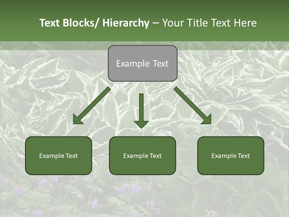 A Bunch Of Plants That Are Next To Each Other PowerPoint Template