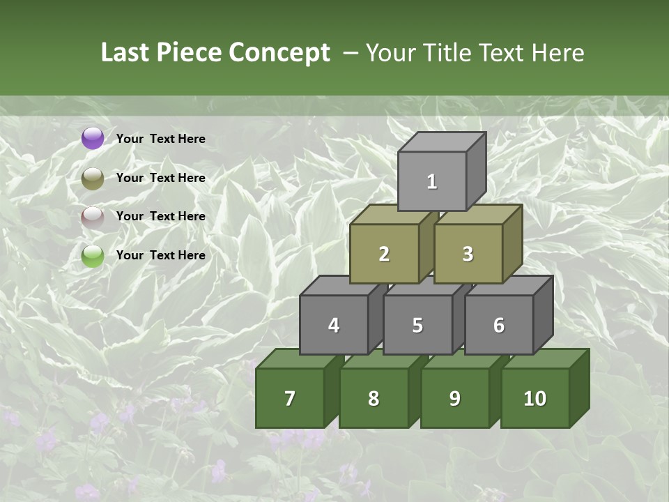 A Bunch Of Plants That Are Next To Each Other PowerPoint Template