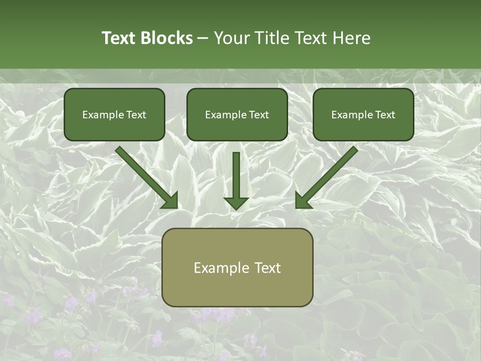 A Bunch Of Plants That Are Next To Each Other PowerPoint Template