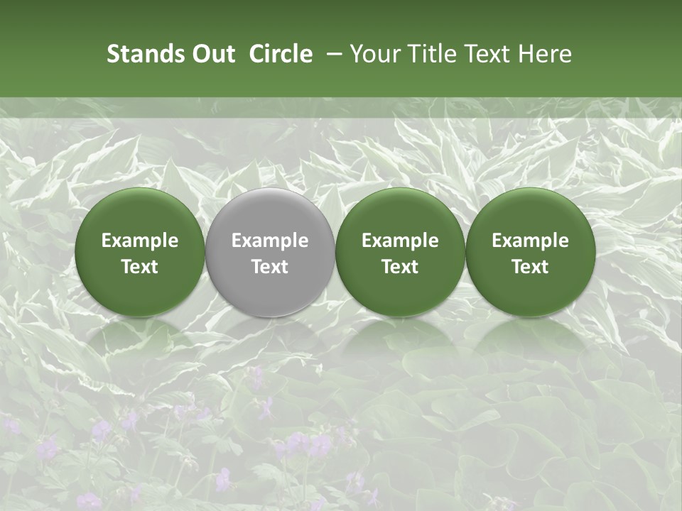 A Bunch Of Plants That Are Next To Each Other PowerPoint Template