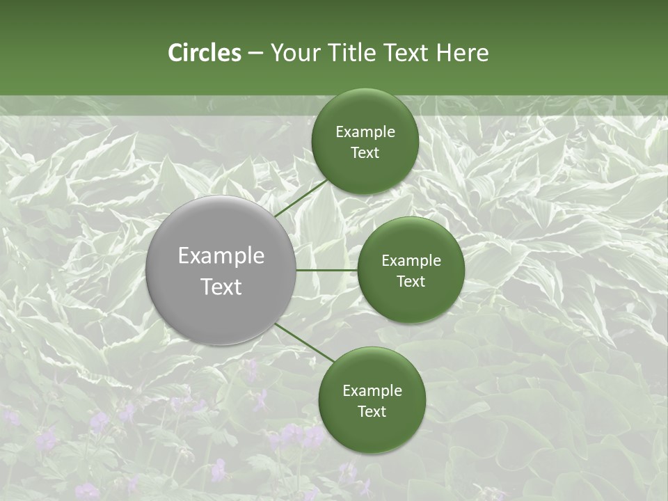 A Bunch Of Plants That Are Next To Each Other PowerPoint Template