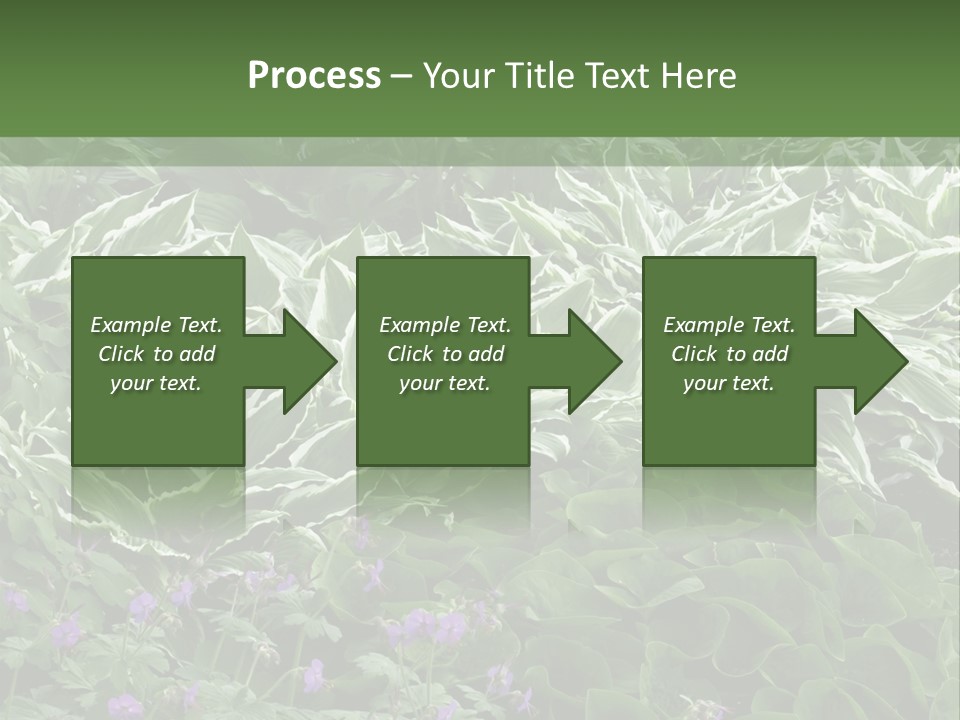A Bunch Of Plants That Are Next To Each Other PowerPoint Template