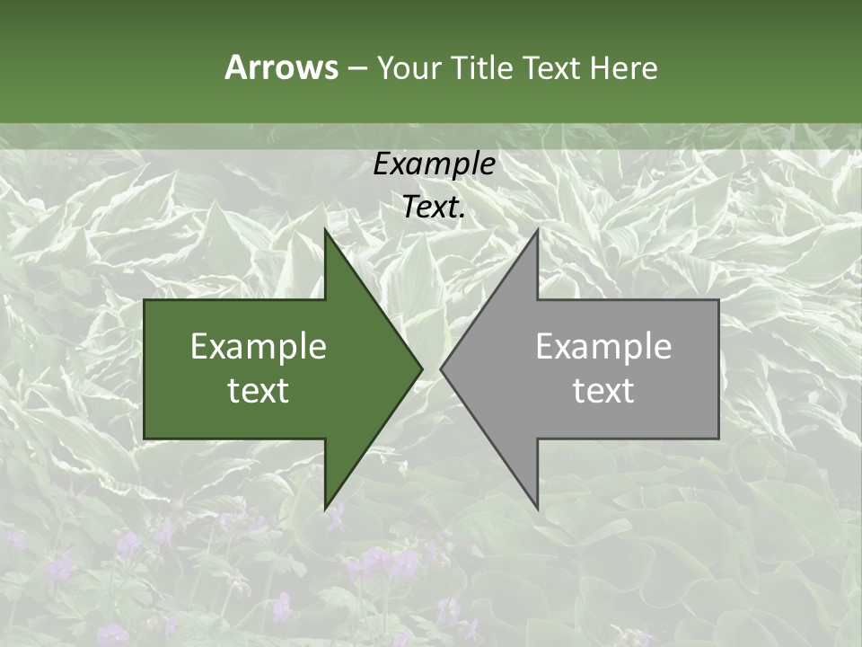 A Bunch Of Plants That Are Next To Each Other PowerPoint Template