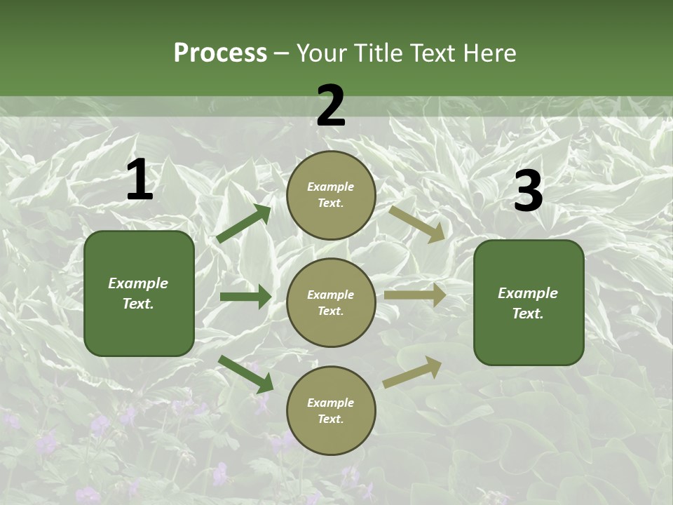 A Bunch Of Plants That Are Next To Each Other PowerPoint Template
