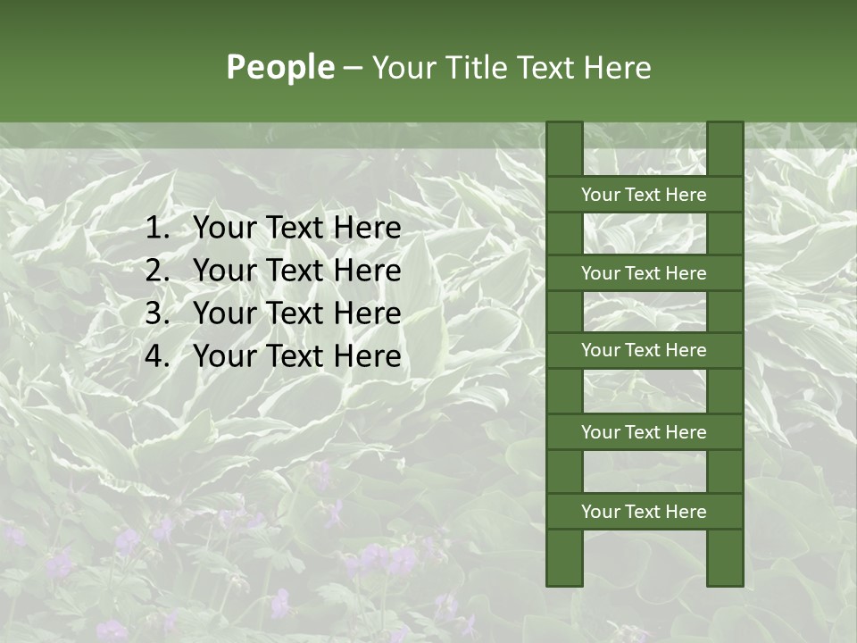 A Bunch Of Plants That Are Next To Each Other PowerPoint Template