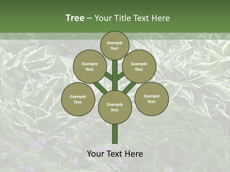 A Bunch Of Plants That Are Next To Each Other PowerPoint Template