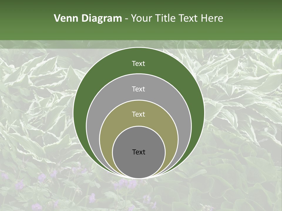 A Bunch Of Plants That Are Next To Each Other PowerPoint Template