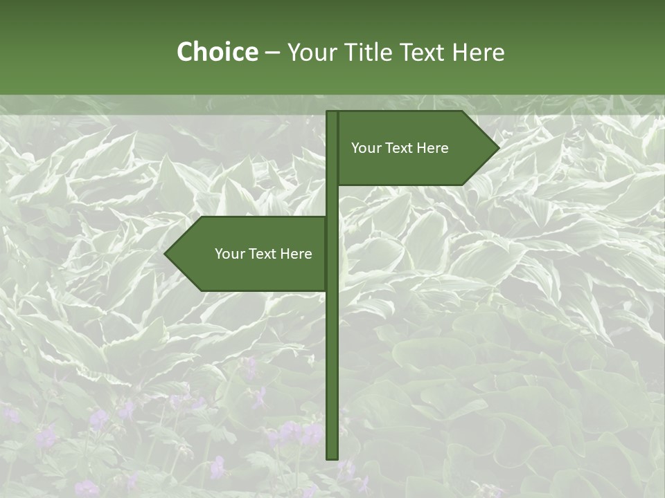A Bunch Of Plants That Are Next To Each Other PowerPoint Template
