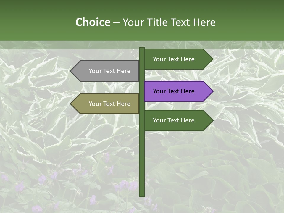 A Bunch Of Plants That Are Next To Each Other PowerPoint Template