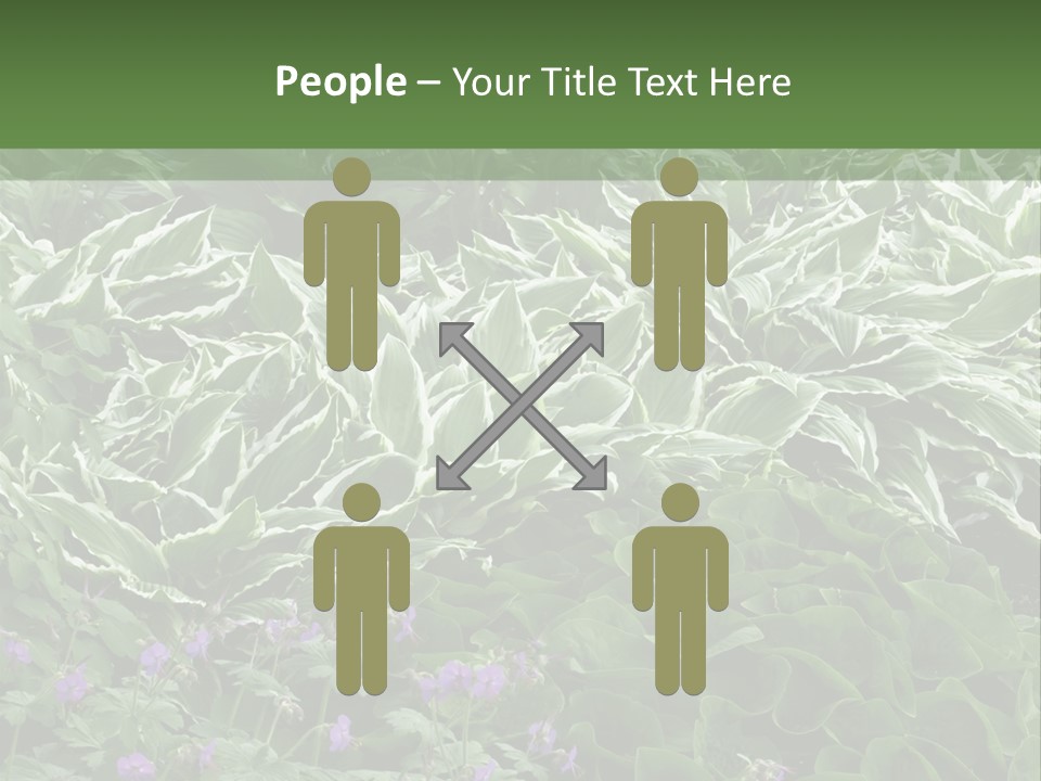 A Bunch Of Plants That Are Next To Each Other PowerPoint Template