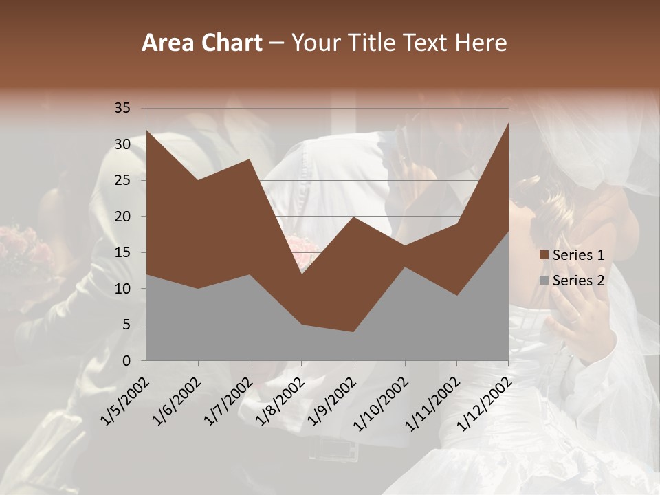 Fashion People Groom PowerPoint Template