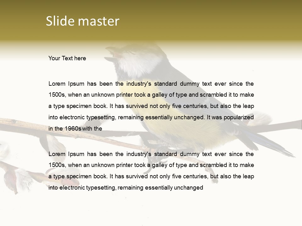 Rural Marshland Perspective PowerPoint Template