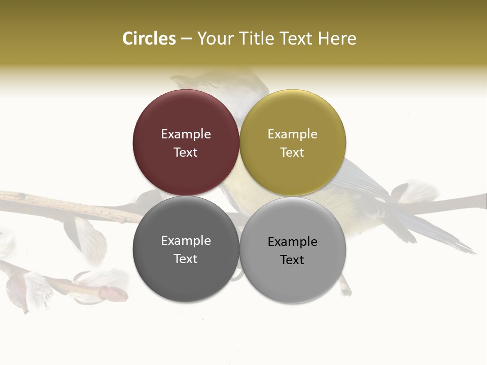 Rural Marshland Perspective PowerPoint Template