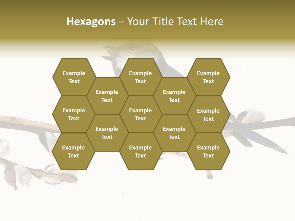 Rural Marshland Perspective PowerPoint Template