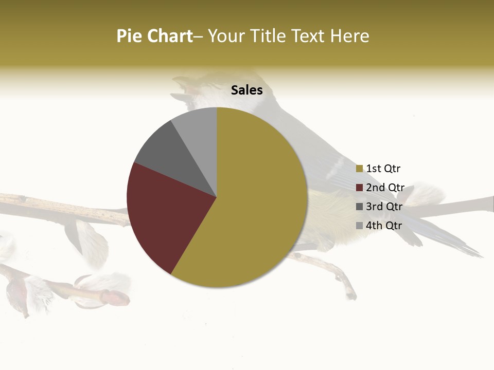 Rural Marshland Perspective PowerPoint Template