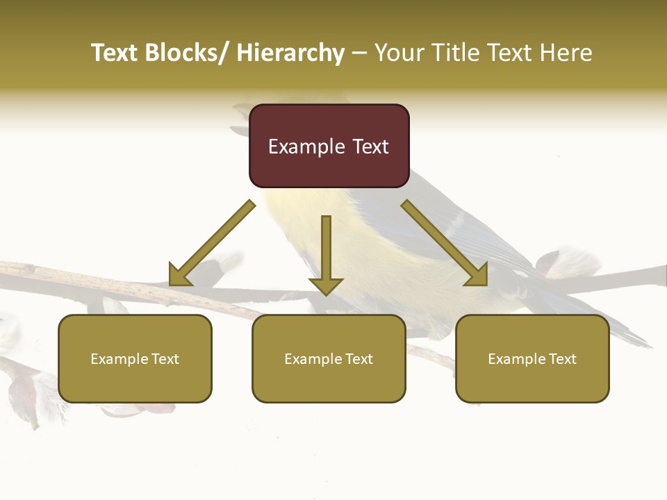 Rural Marshland Perspective PowerPoint Template