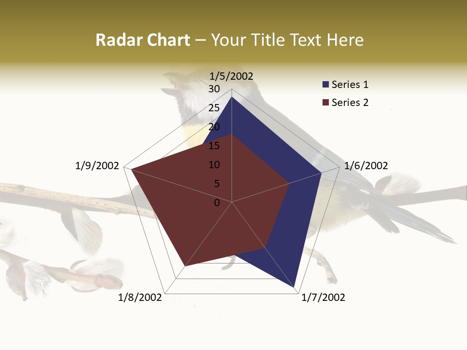 Rural Marshland Perspective PowerPoint Template