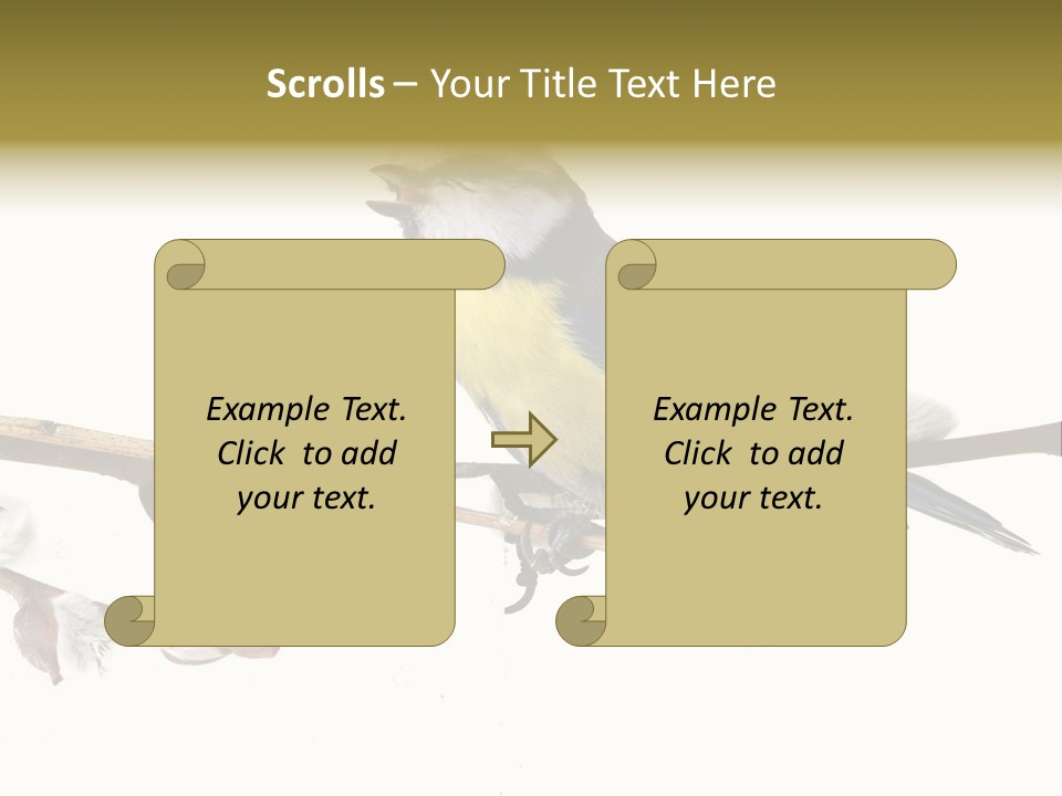 Rural Marshland Perspective PowerPoint Template