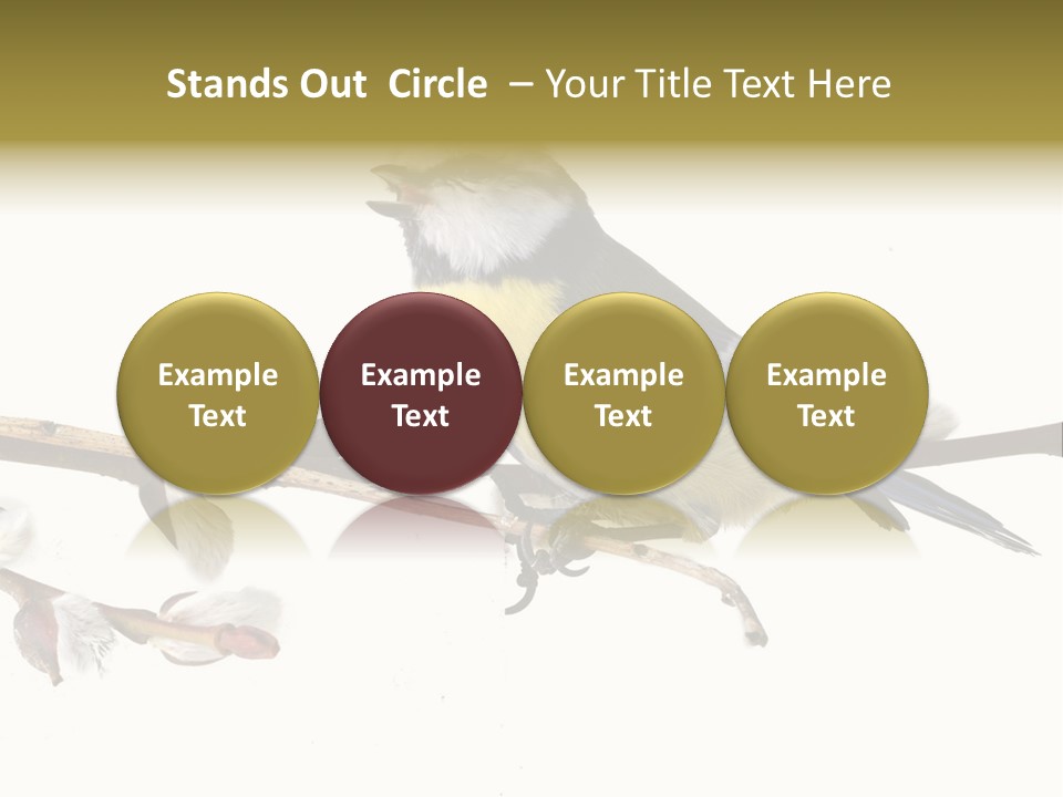 Rural Marshland Perspective PowerPoint Template