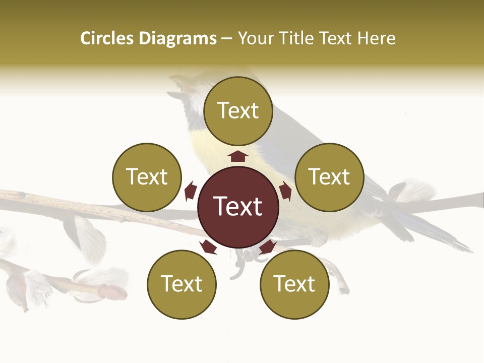 Rural Marshland Perspective PowerPoint Template