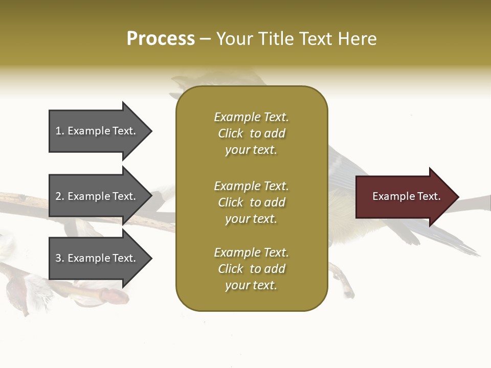 Rural Marshland Perspective PowerPoint Template