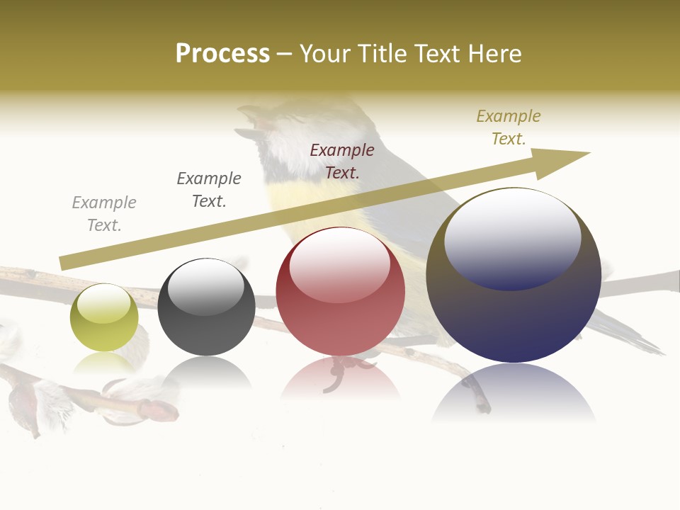 Rural Marshland Perspective PowerPoint Template