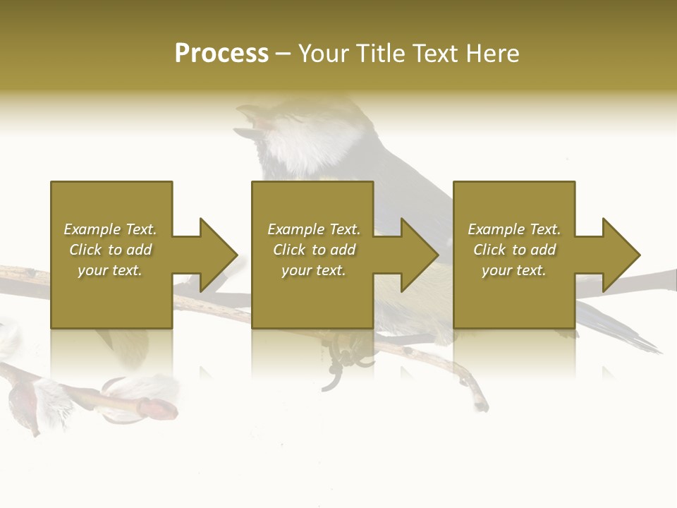 Rural Marshland Perspective PowerPoint Template
