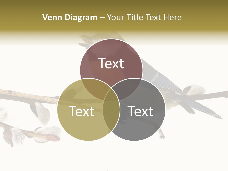 Rural Marshland Perspective PowerPoint Template