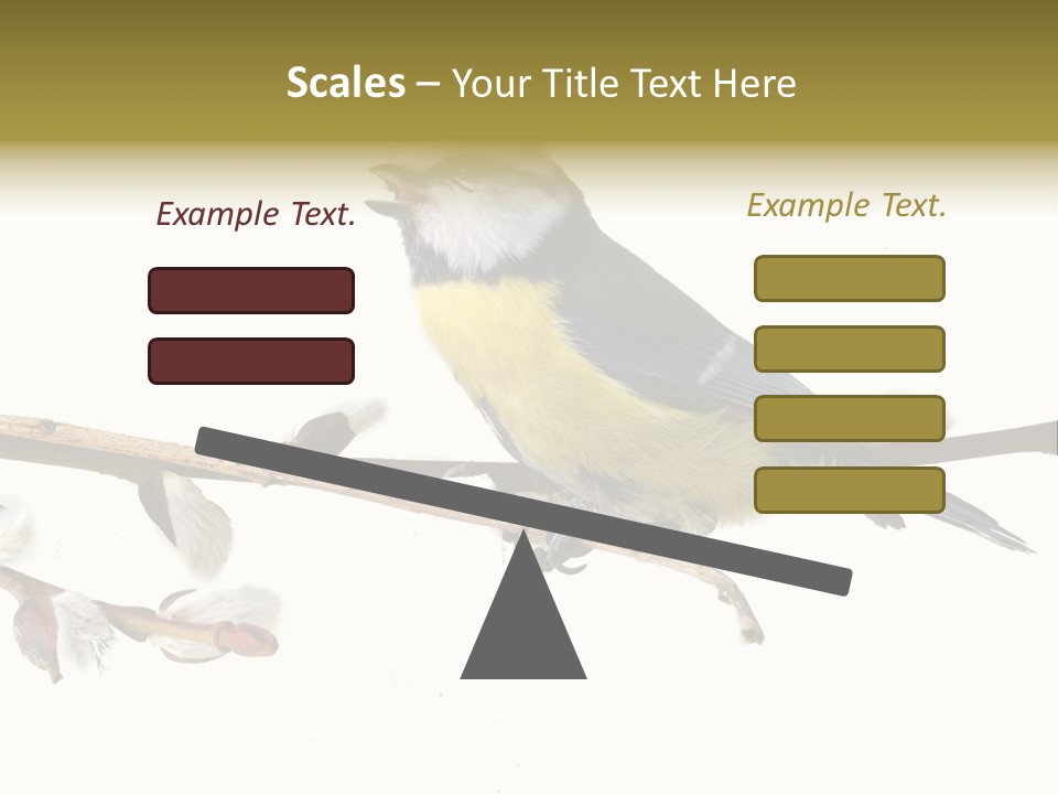 Rural Marshland Perspective PowerPoint Template