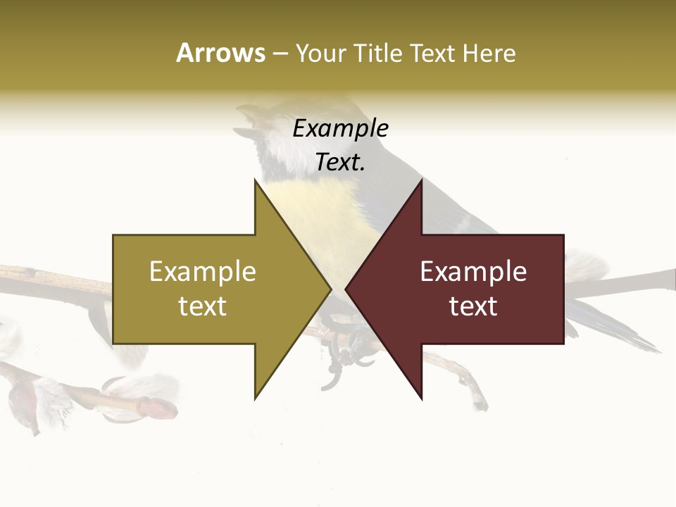 Rural Marshland Perspective PowerPoint Template