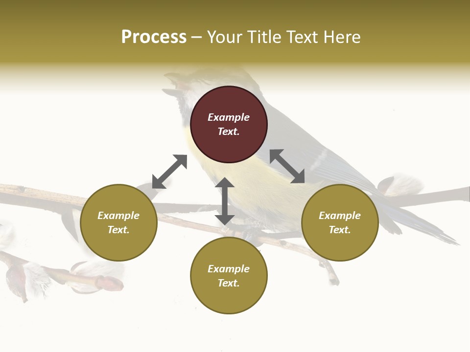 Rural Marshland Perspective PowerPoint Template