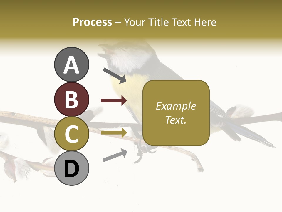 Rural Marshland Perspective PowerPoint Template