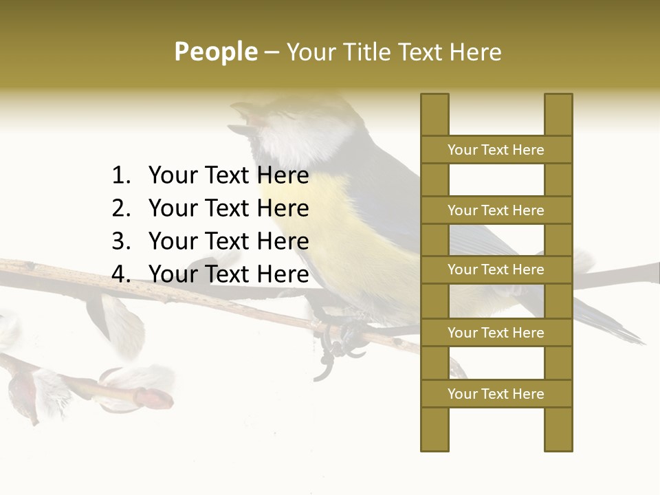 Rural Marshland Perspective PowerPoint Template
