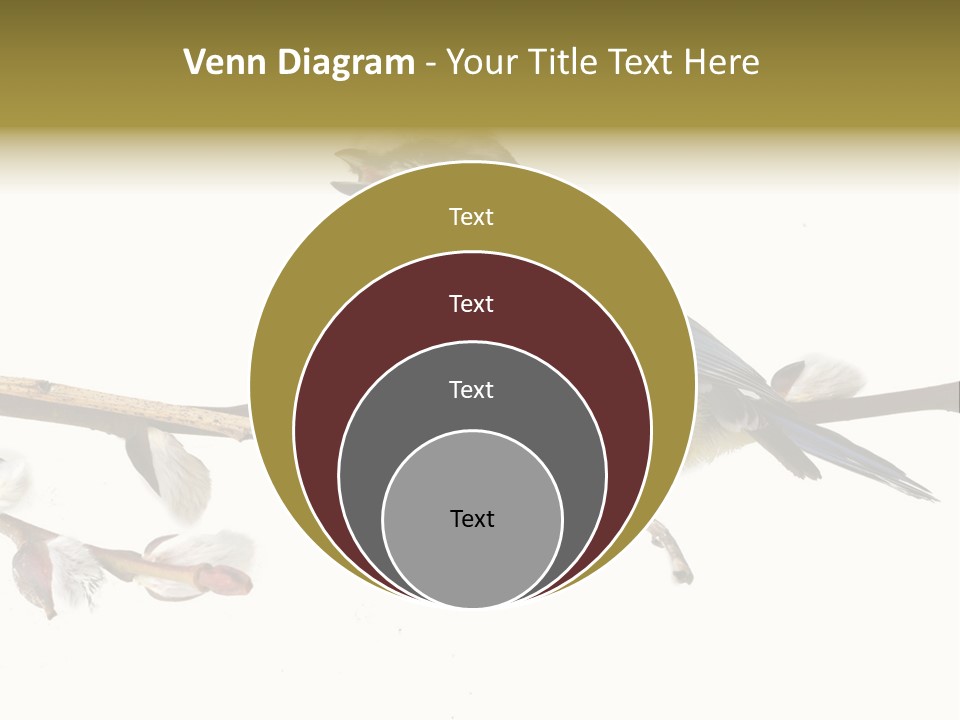 Rural Marshland Perspective PowerPoint Template