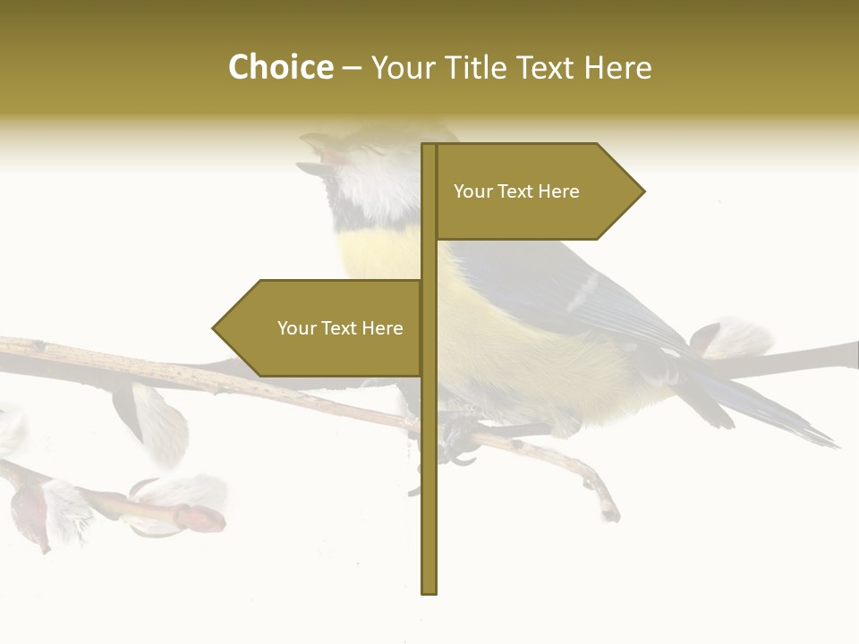 Rural Marshland Perspective PowerPoint Template