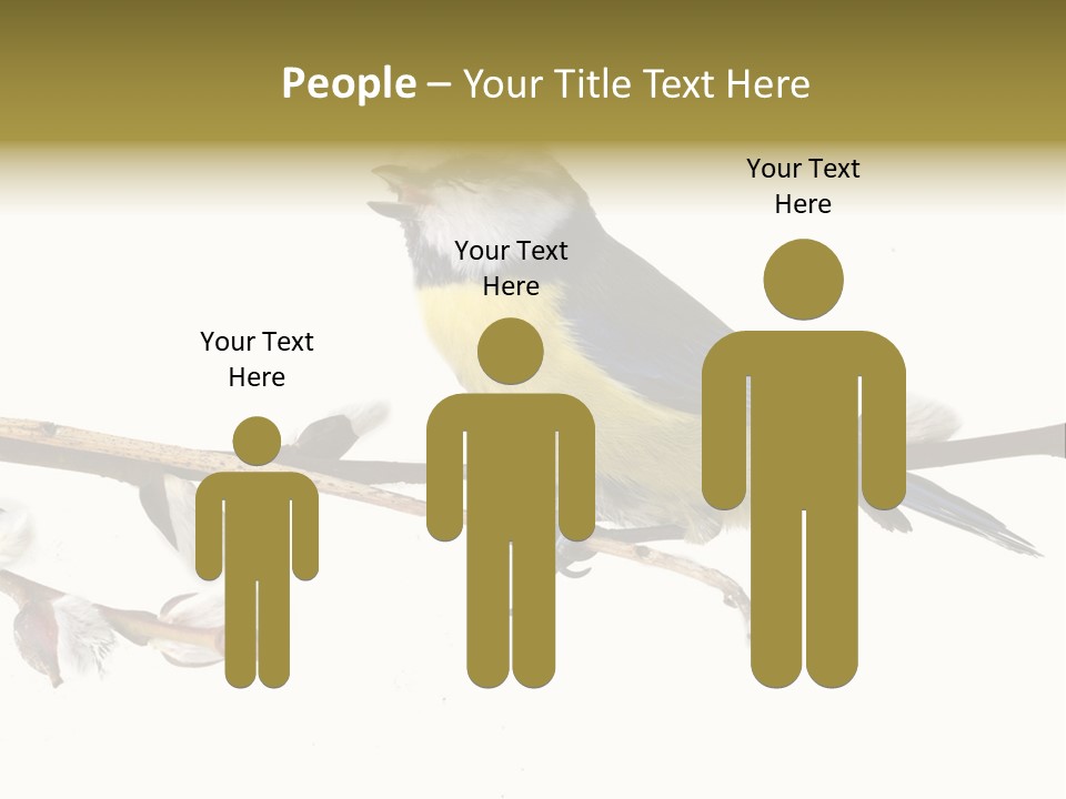 Rural Marshland Perspective PowerPoint Template
