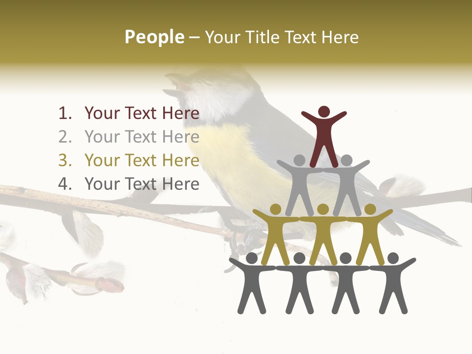 Rural Marshland Perspective PowerPoint Template