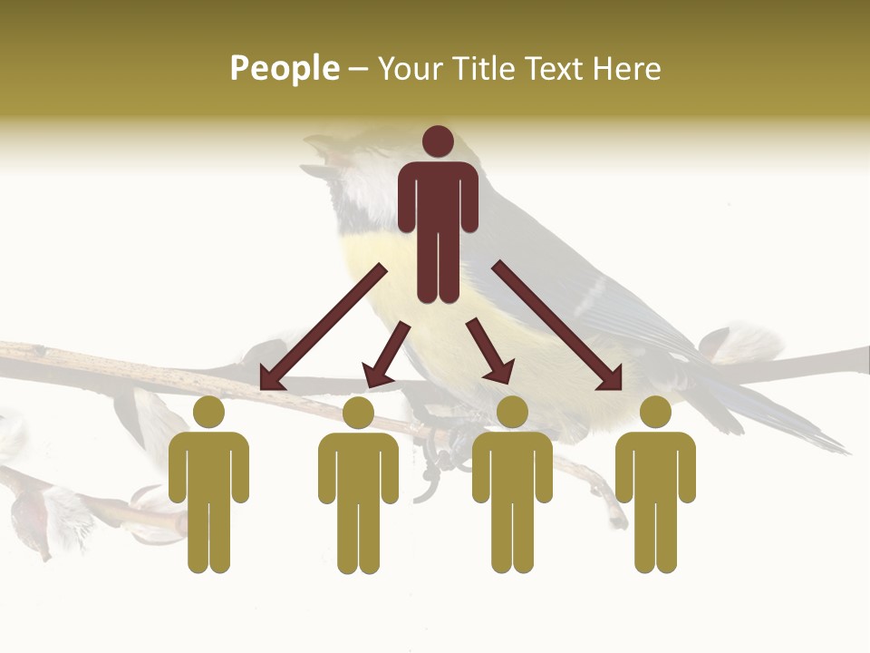 Rural Marshland Perspective PowerPoint Template