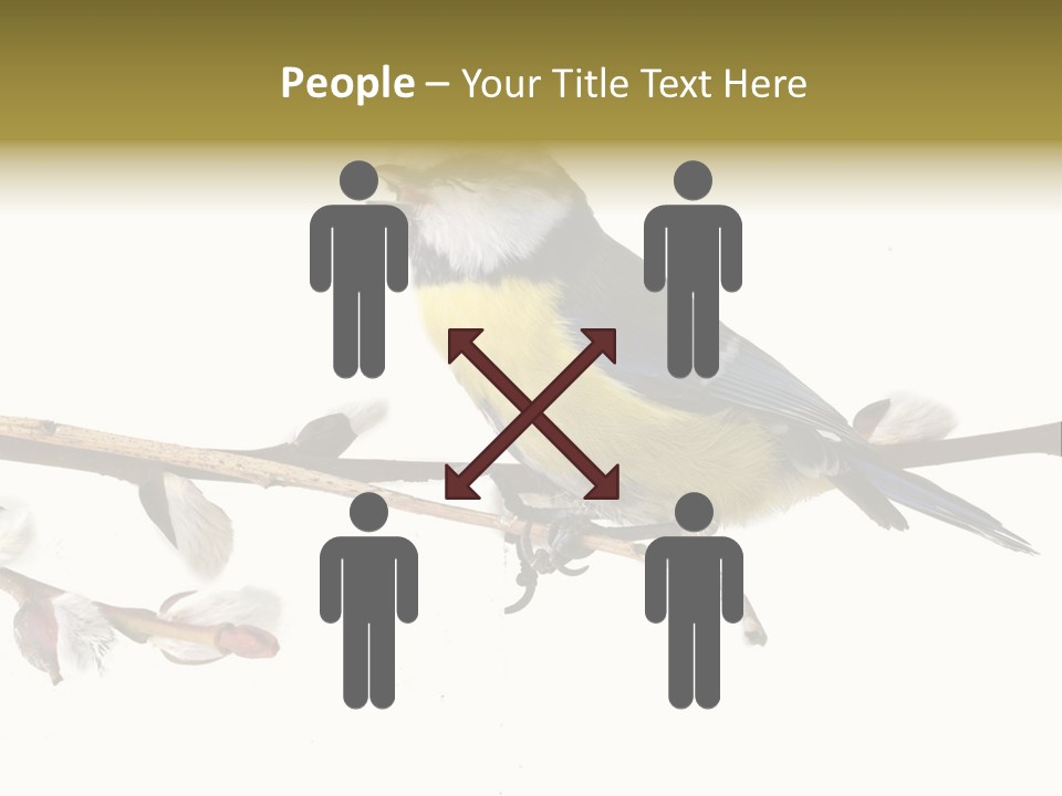 Rural Marshland Perspective PowerPoint Template