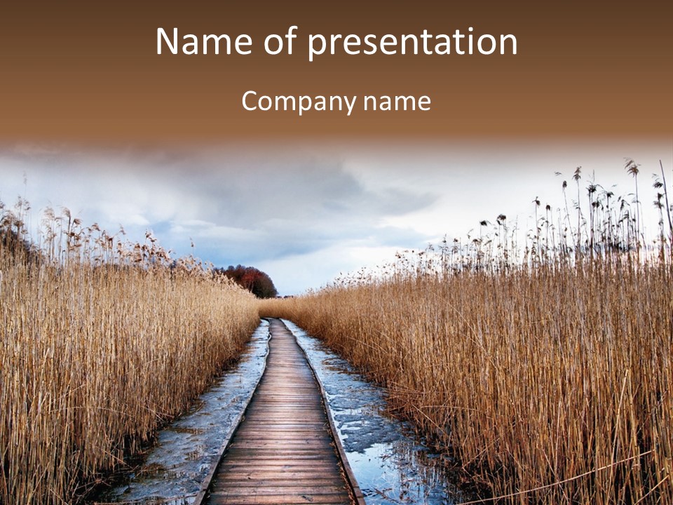 Rural Marshland Perspective PowerPoint Template