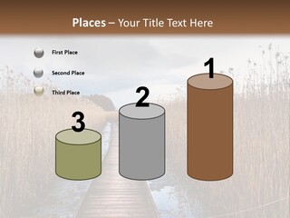 Rural Marshland Perspective PowerPoint Template